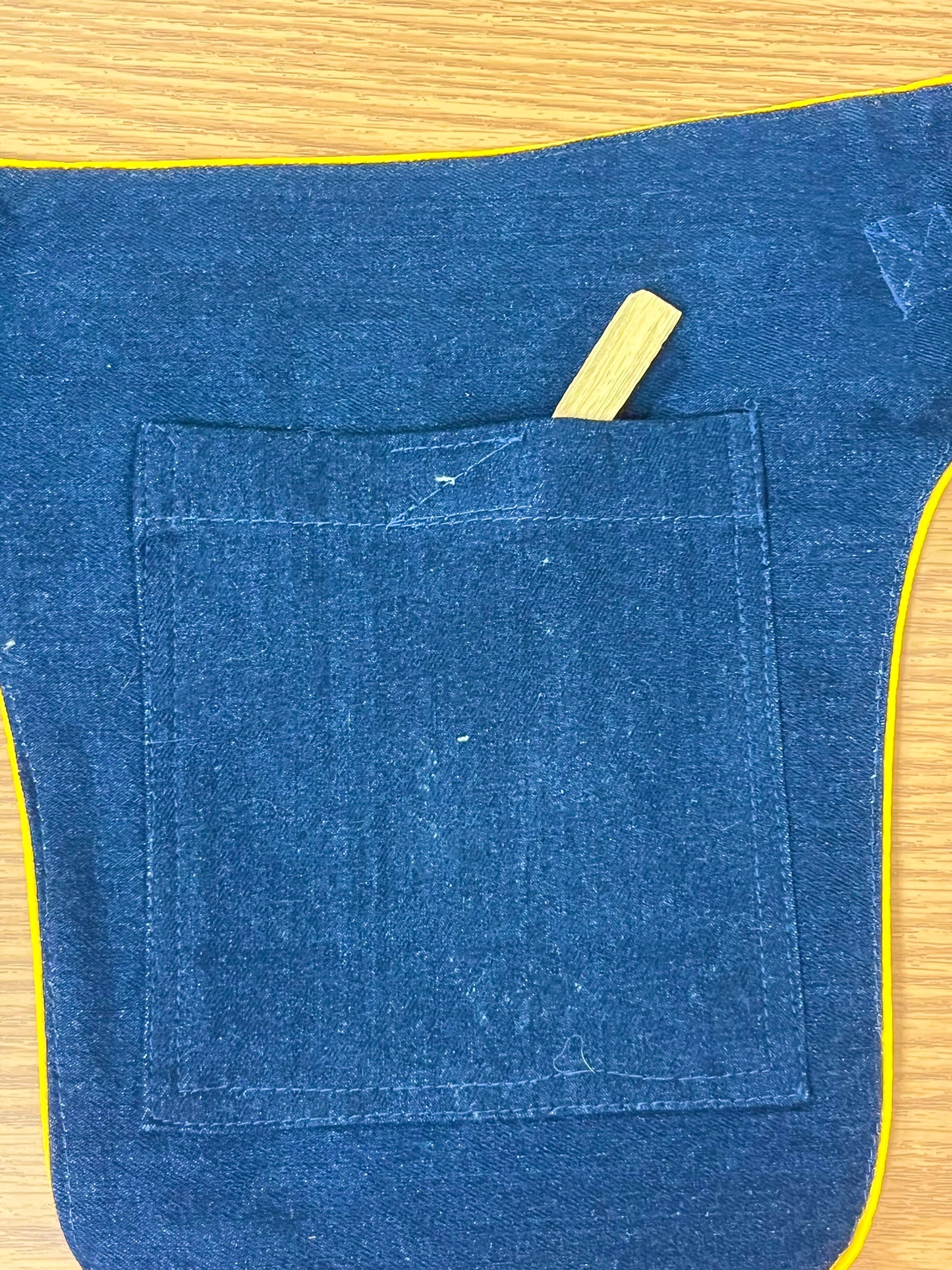 Denim Fest Belt The Magical Turtle