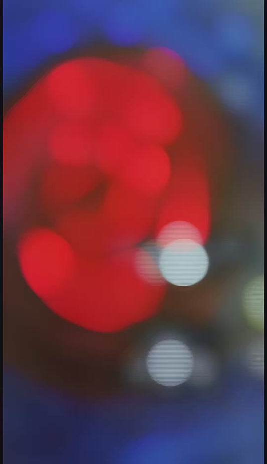 Day 21 - Spiral Toward Destiny